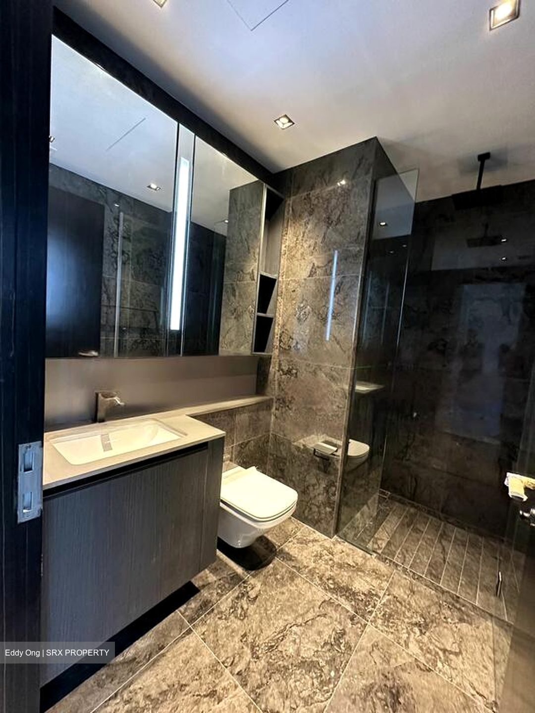 3 Cuscaden (D10), Apartment #465097511